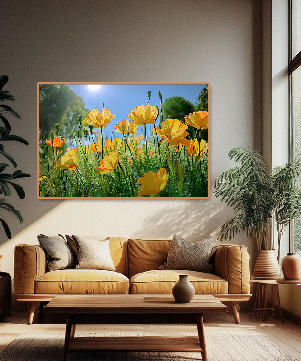 1 PART FLOATING FRAME
