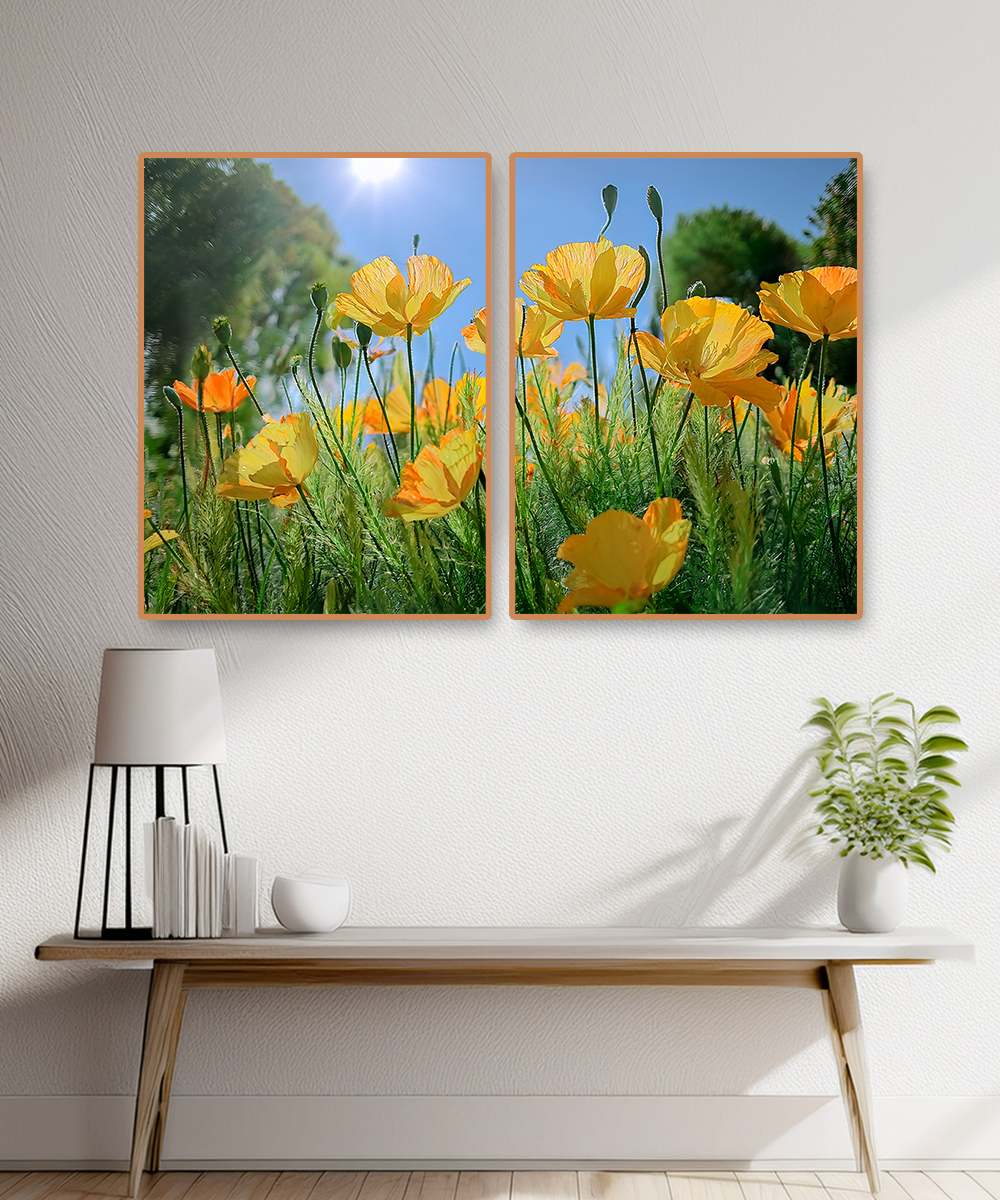 2 PARTS FLOATING FRAME