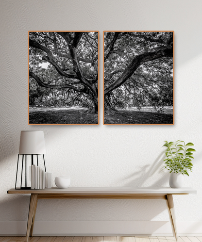 2 PARTS FLOATING FRAME