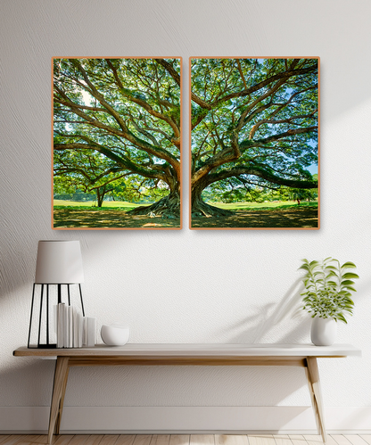 2 PARTS FLOATING FRAME