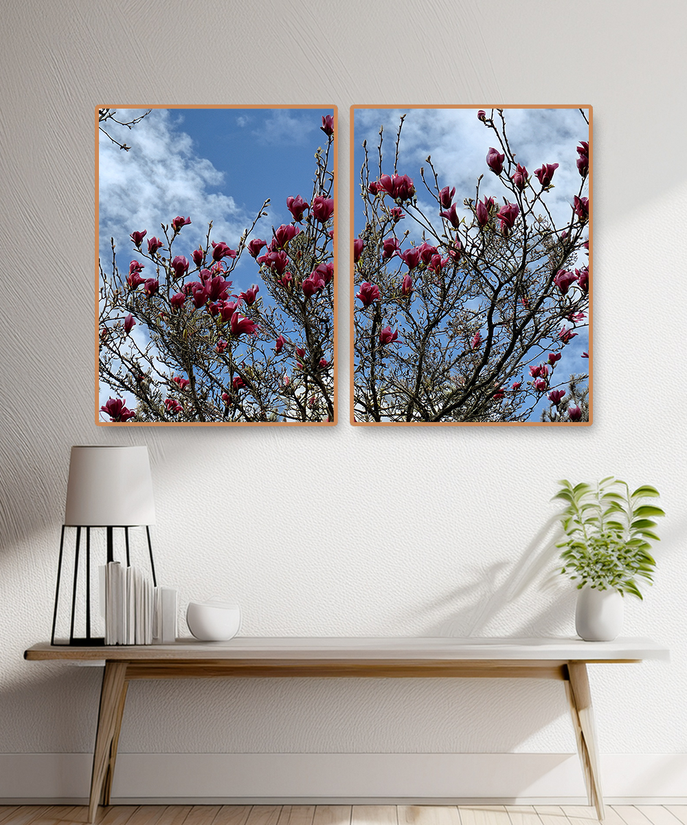 2 PARTS FLOATING FRAME