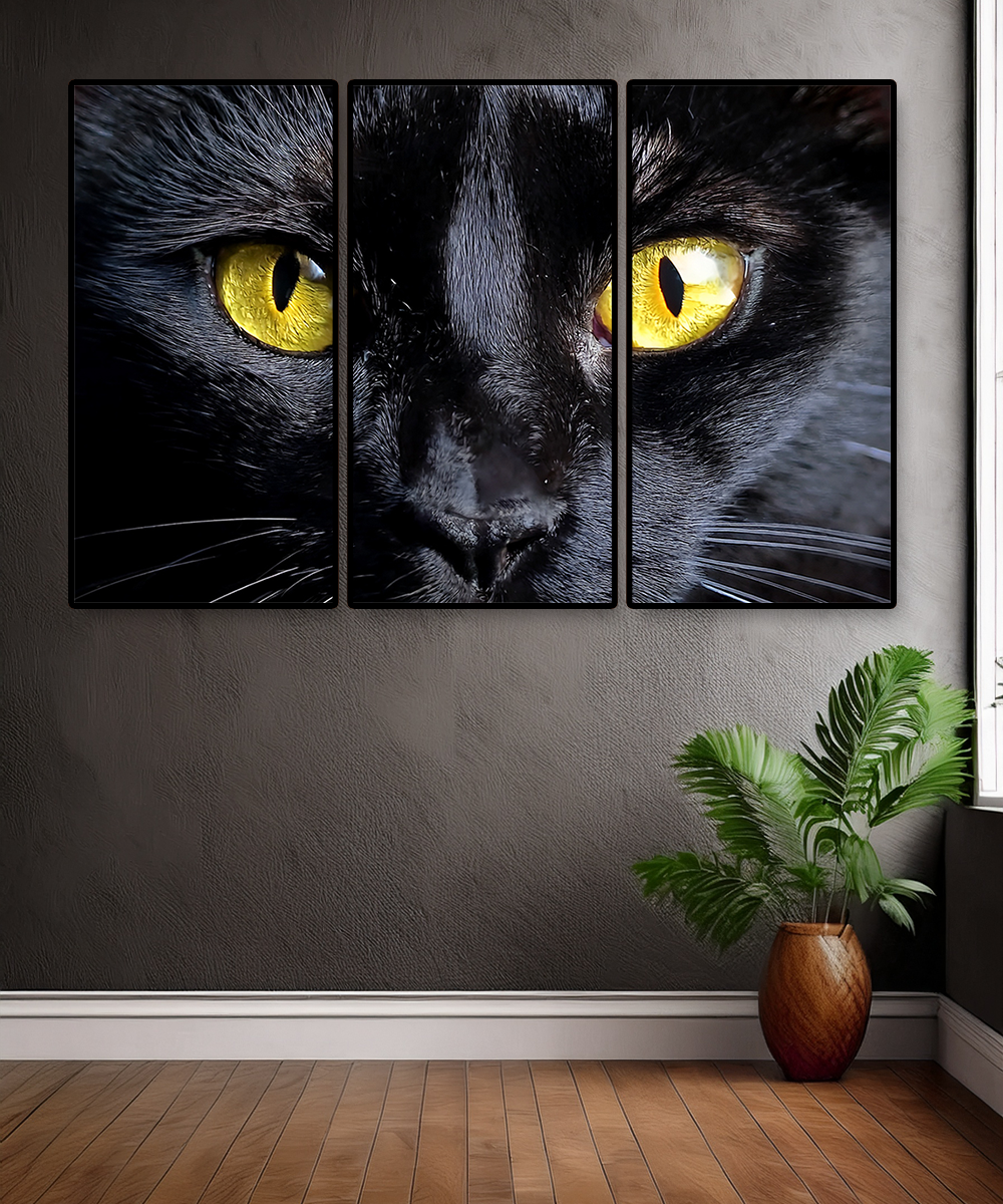 BLACK 3 PARTS