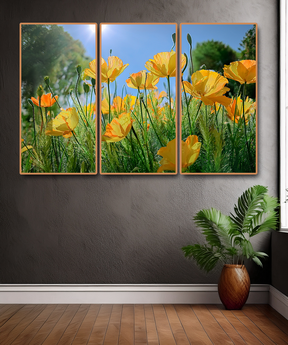 3 PARTS FLOATING FRAME
