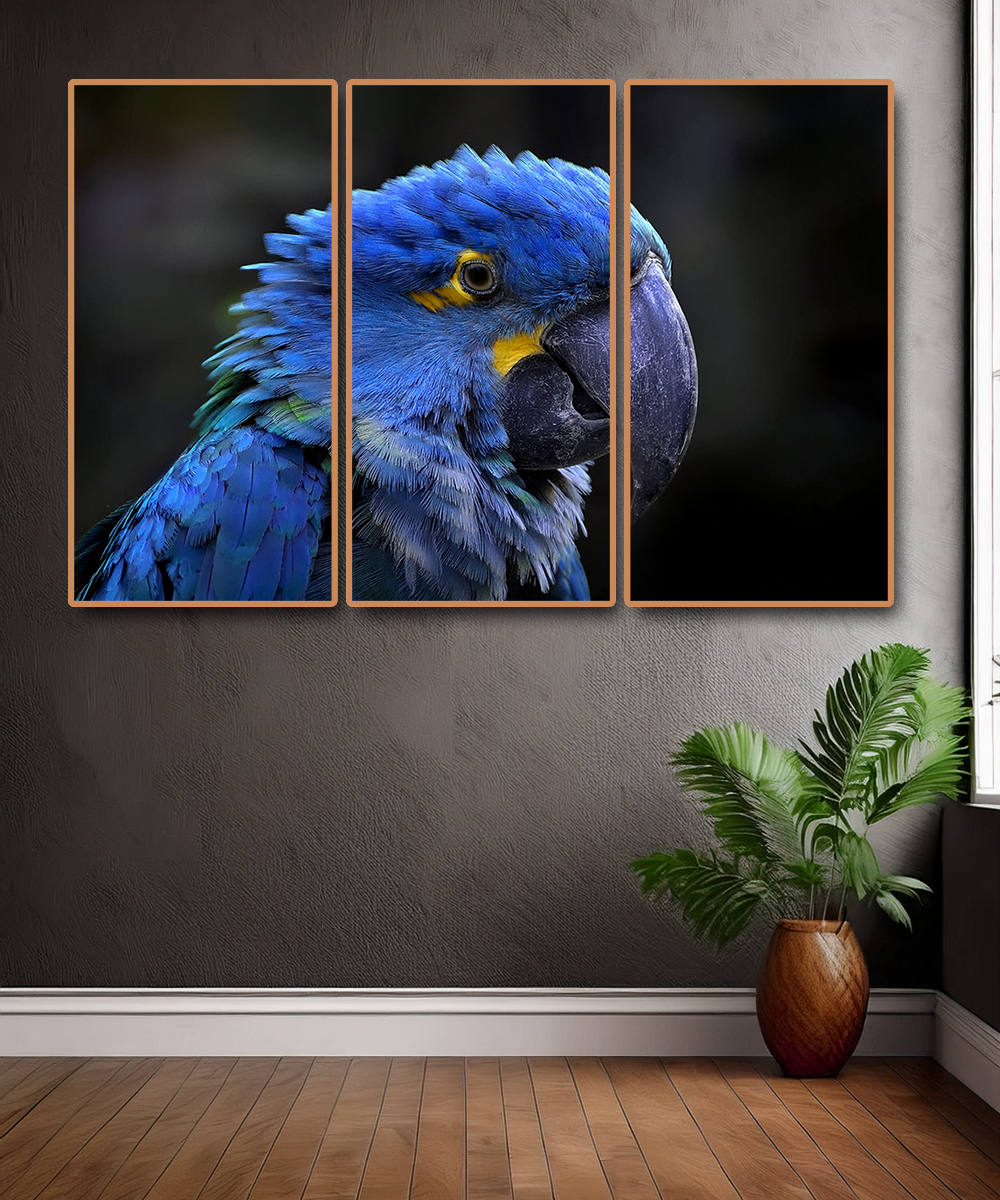 3 PARTS FLOATING FRAME