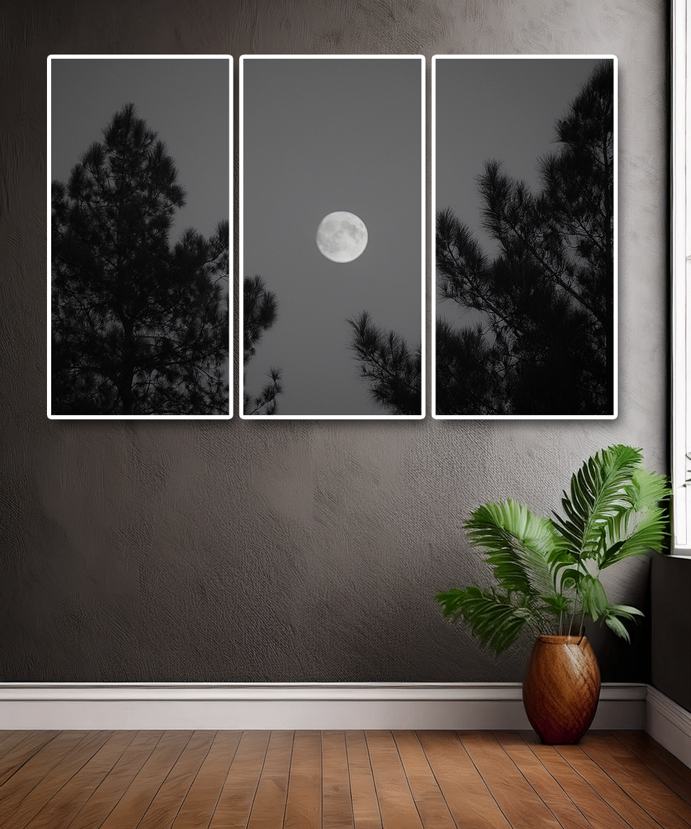 WHITE 3 PARTS
