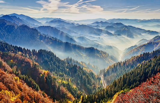 Endless Horizon Mountain Canvas Wall Art – Misty Valley & Forest Landscape