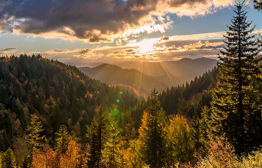 Golden Horizon Canvas Wall Art – Sunset Over Mountain Forest Landscape