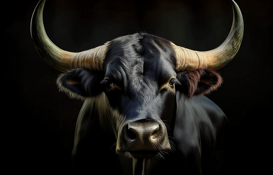 Majestic Black Bull – Powerful Animal Portrait Canvas Wall Art