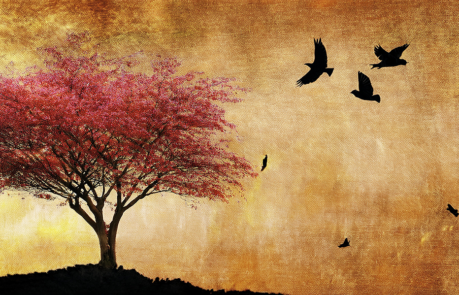 Golden Sunset Canvas Wall Art – Red Tree & Flying Birds