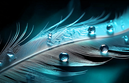 Whispers of Light – Feather with Water Droplets Canvas Wall Art